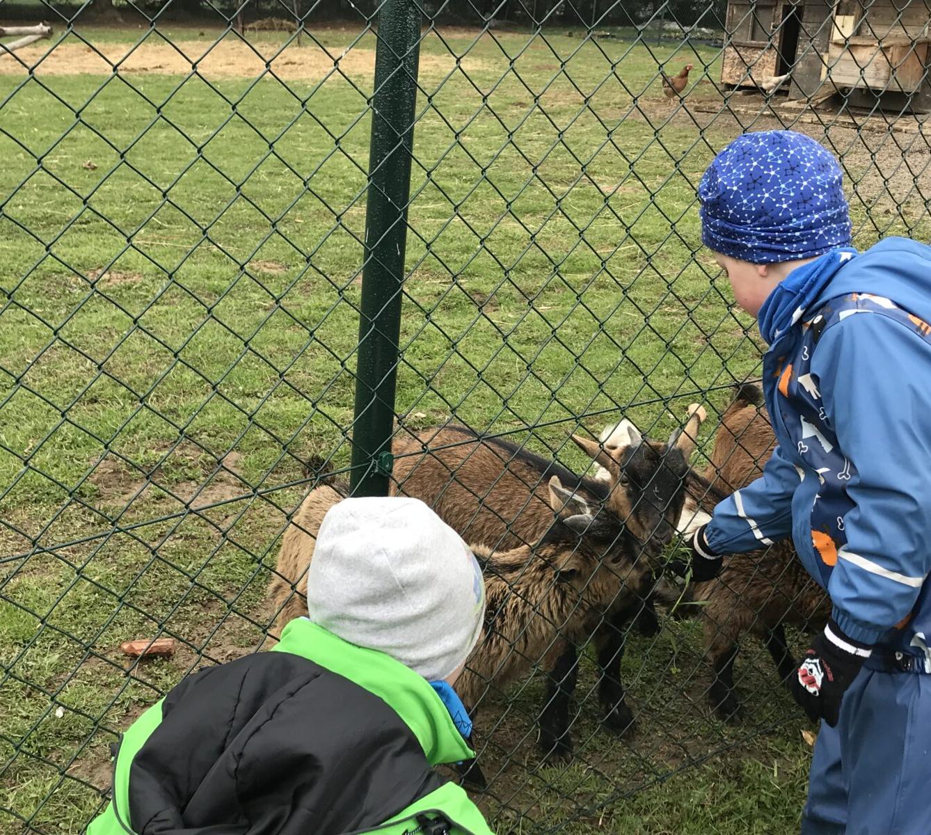 PŘEDŠKOLÁCI ,,VÝPRAVY ZA ZVÍŘÁTKY" - 10
