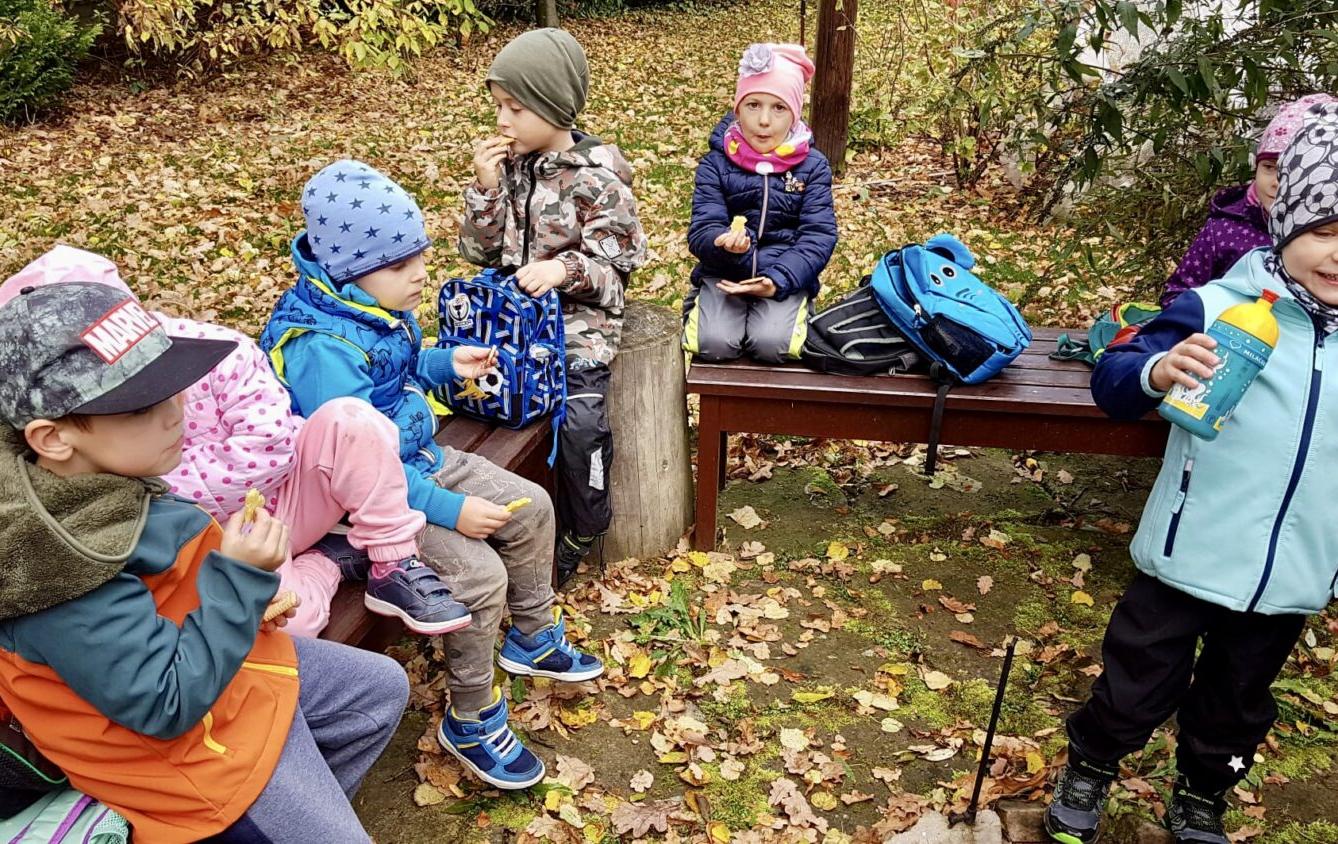 SOVIČKY: ,,LISTÍ ŽLOUTNE POLETUJE" - 13