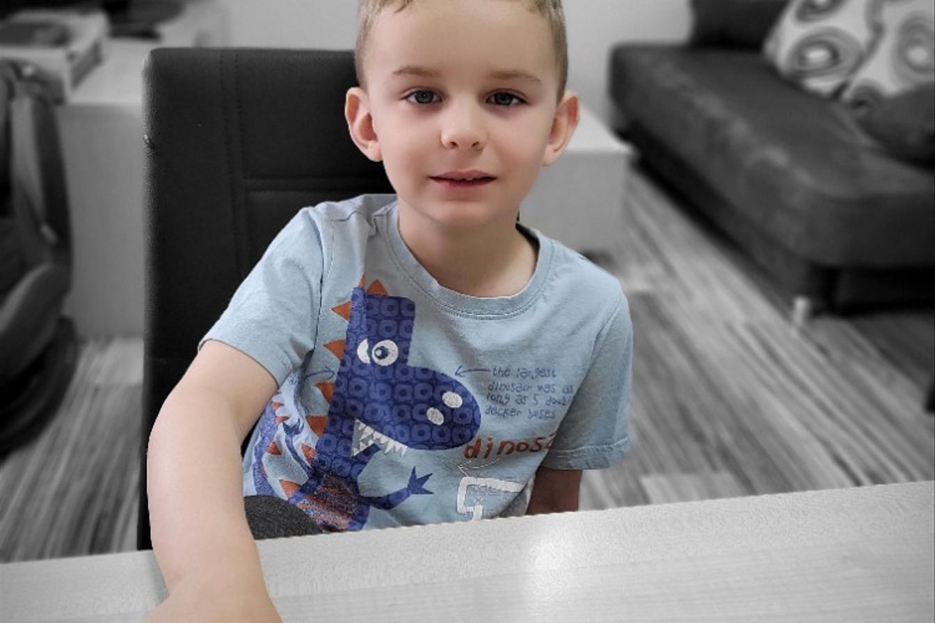 Distanční výuka - "Máme rádi zvířata II." (mladší děti)