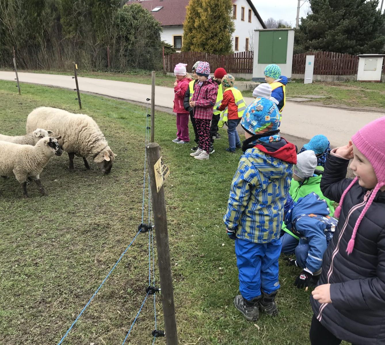 PŘEDŠKOLÁCI ,,VÝPRAVY ZA ZVÍŘÁTKY" - 11