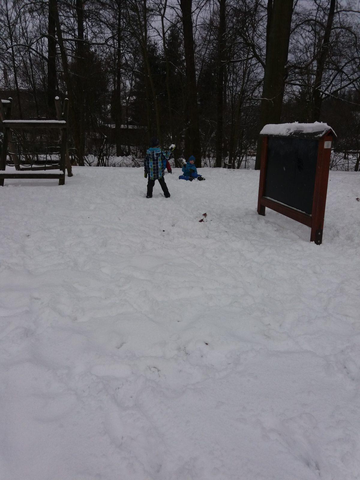 Měsíc leden ve II. oddělení - 7