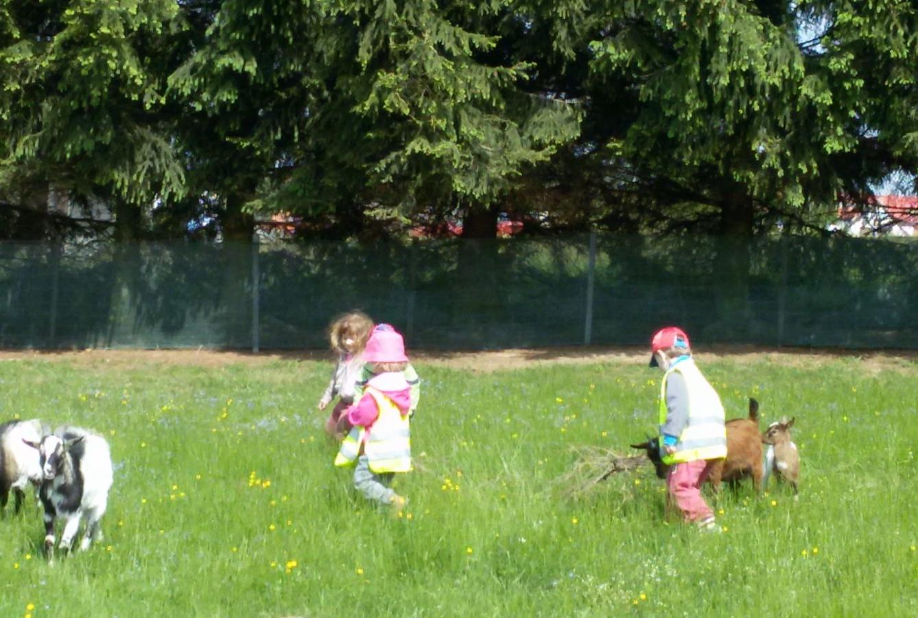 Vycházka ke kozičkám s kůzlátky (Broučci) - 33