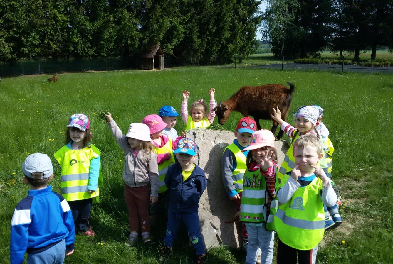 Vycházka ke kozičkám s kůzlátky (Broučci) - 37