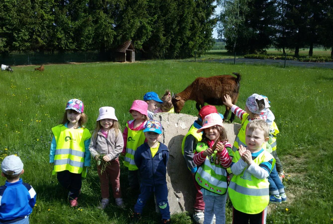 Vycházka ke kozičkám s kůzlátky (Broučci) - 39
