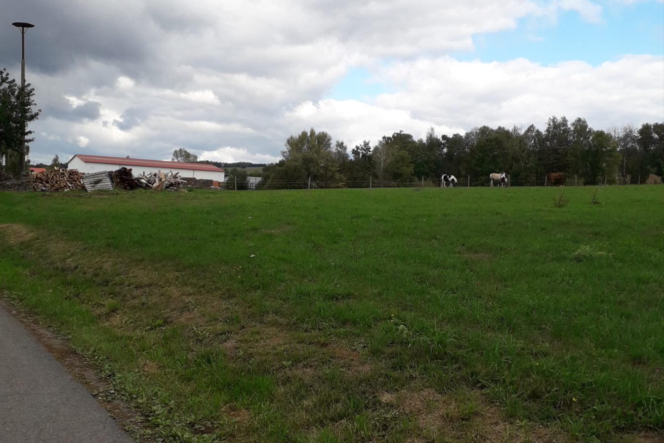 Prosinec I. oddělení