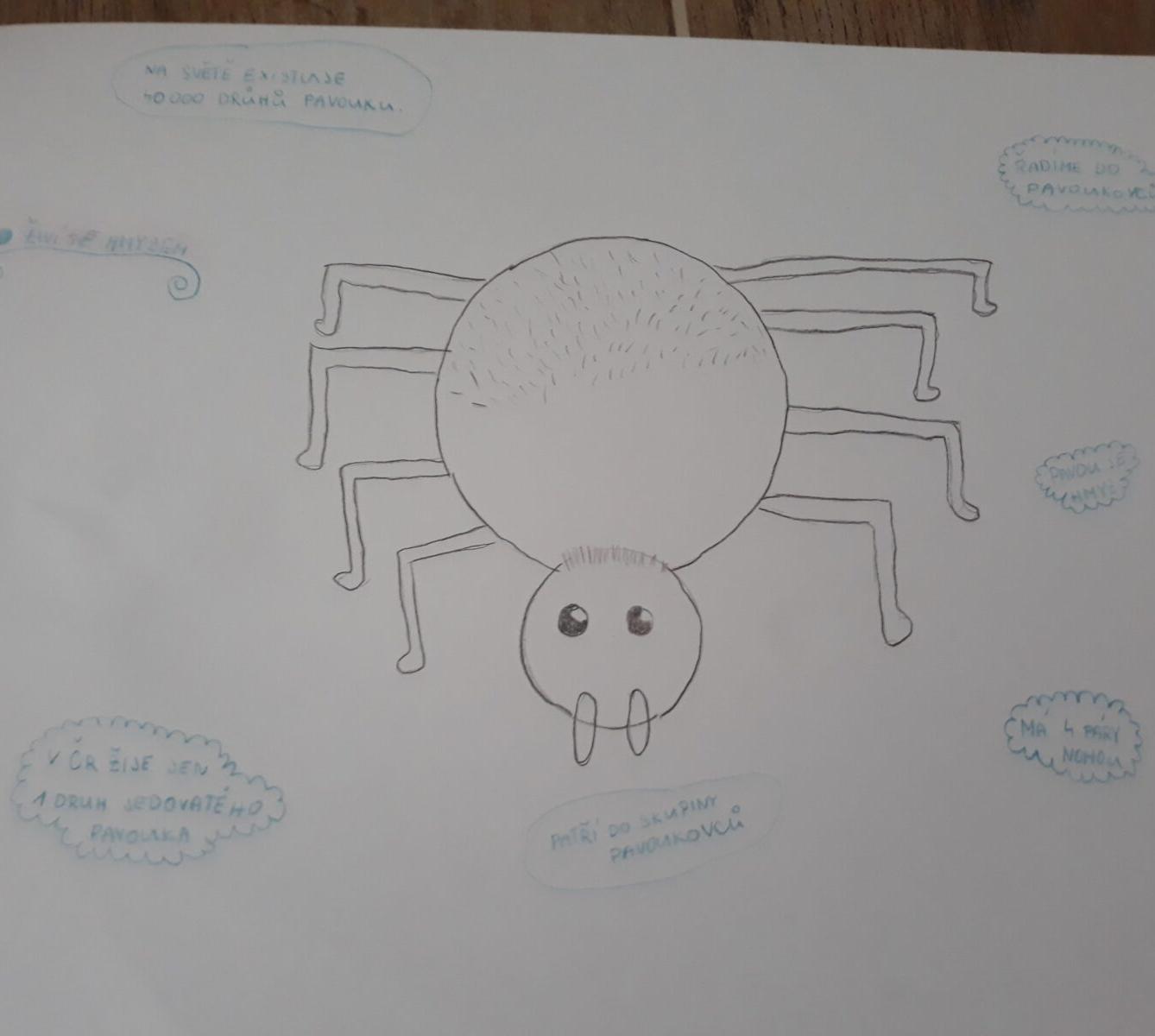 Pozorování pavoukovců - žáci 6. tříd - 4