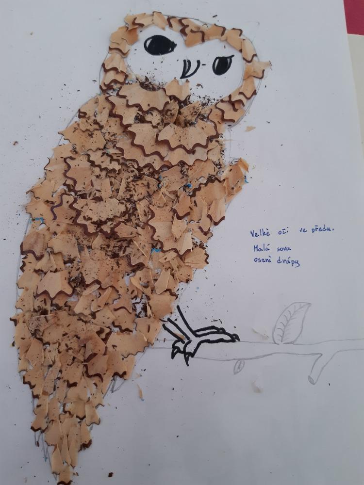 Spojení přírodopisu s pracovními činnostmi u sedmáků - 4