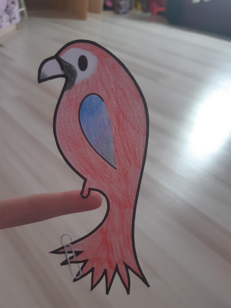 Papoušek na prstu - sedmáci - 2