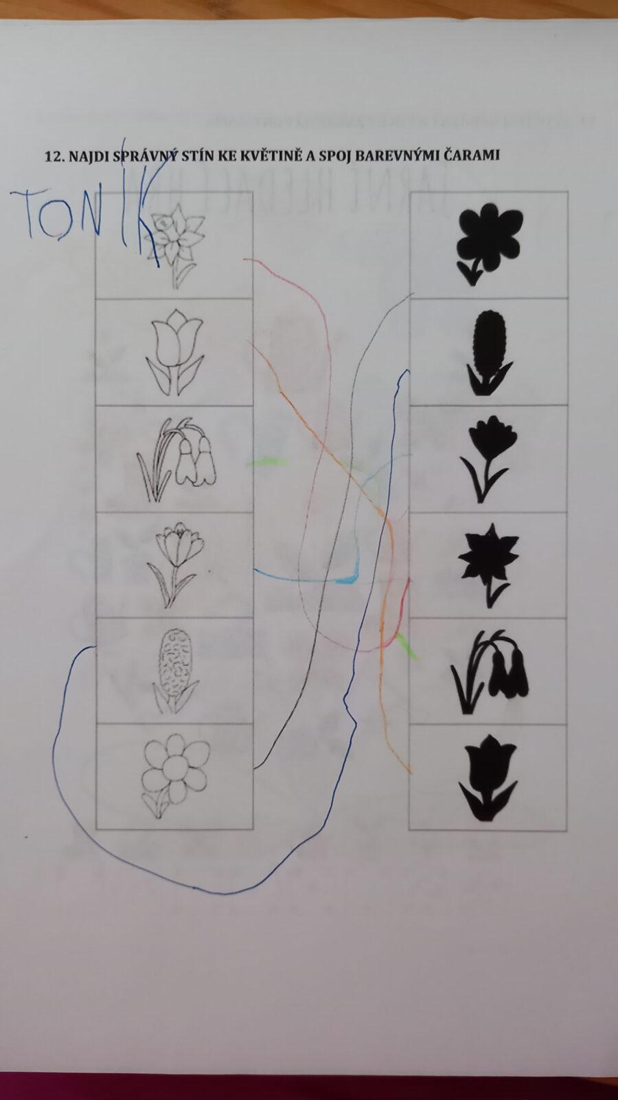 Distanční výuka v MŠ Kamarád (Jaro přišlo do vsi - předškoláci) :-) - 4