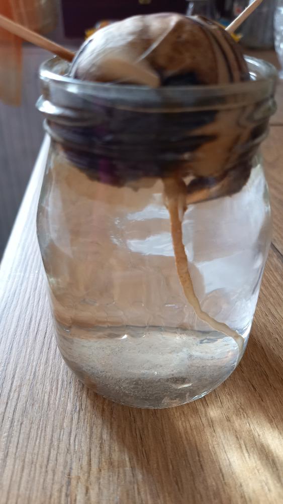 Distanční výuka v MŠ Kamarád (Jaro přišlo do vsi - předškoláci) :-) - 8