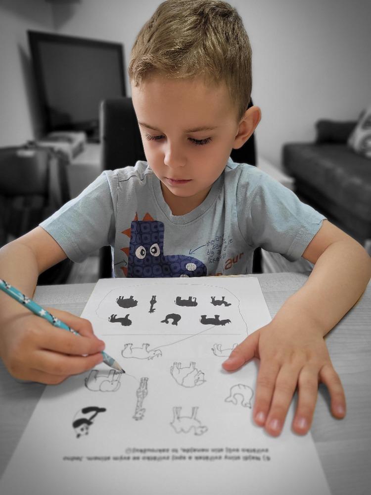 Distanční výuka - "Máme rádi zvířata II." (mladší děti) - 4