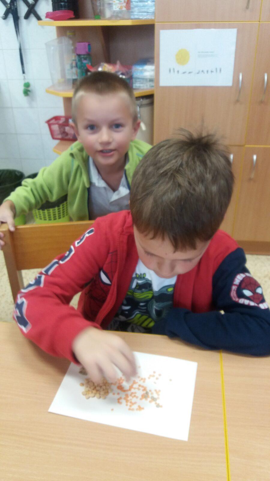 Podzimní dny , 2. oddělení - 16