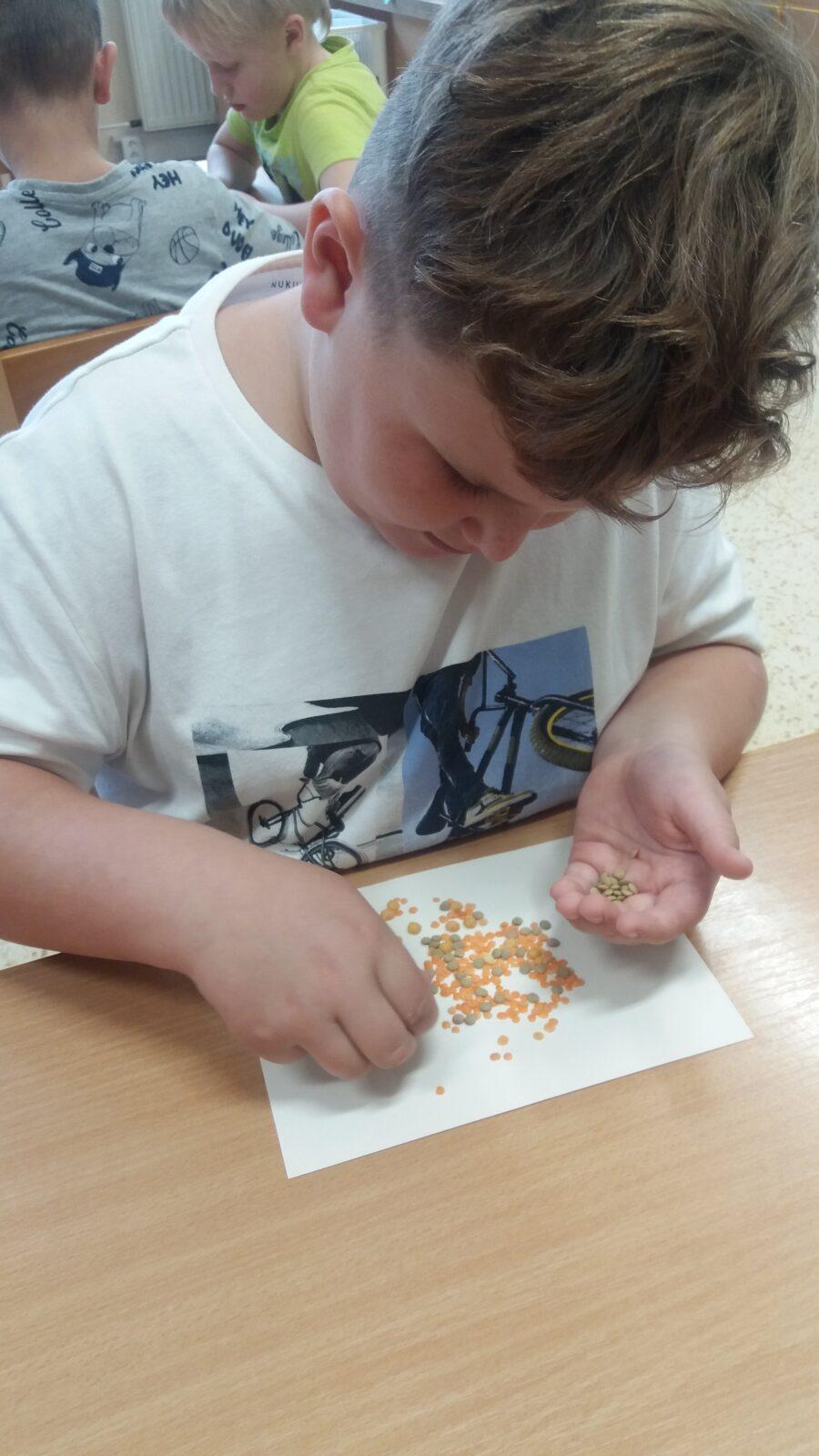 Podzimní dny , 2. oddělení - 21