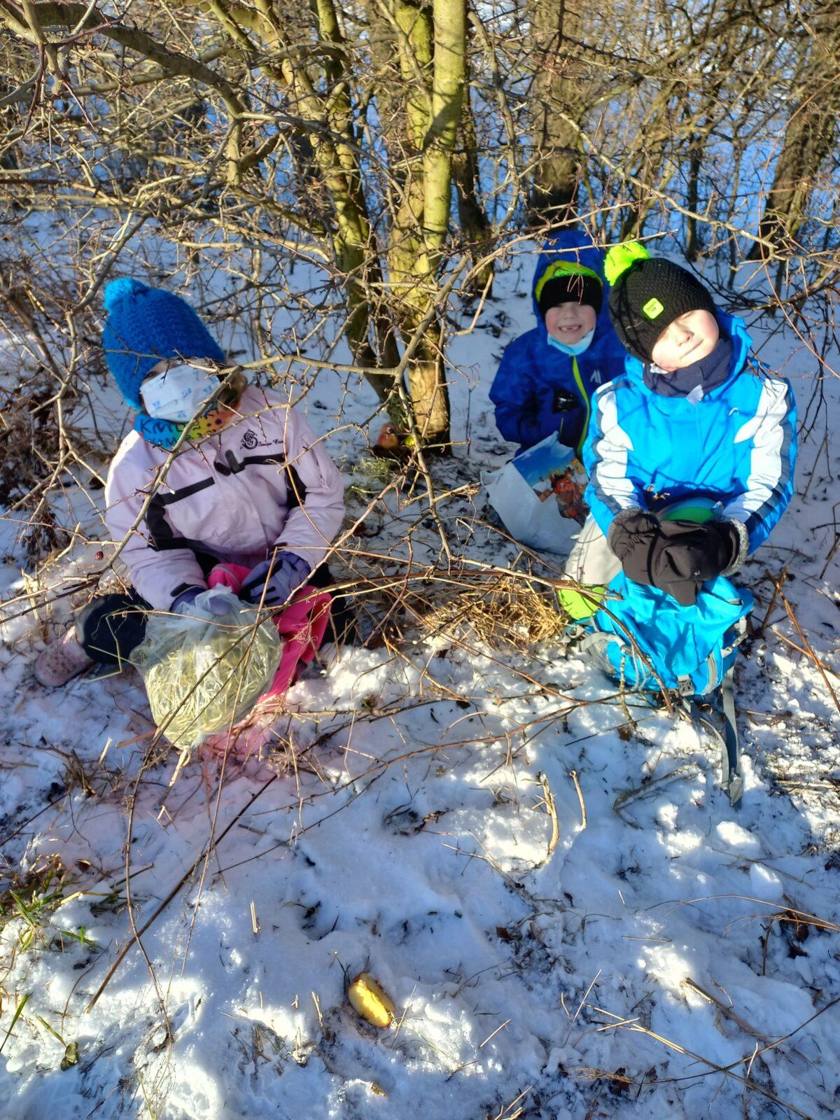 Opožděný "Vánoční les" v první třídě - 3