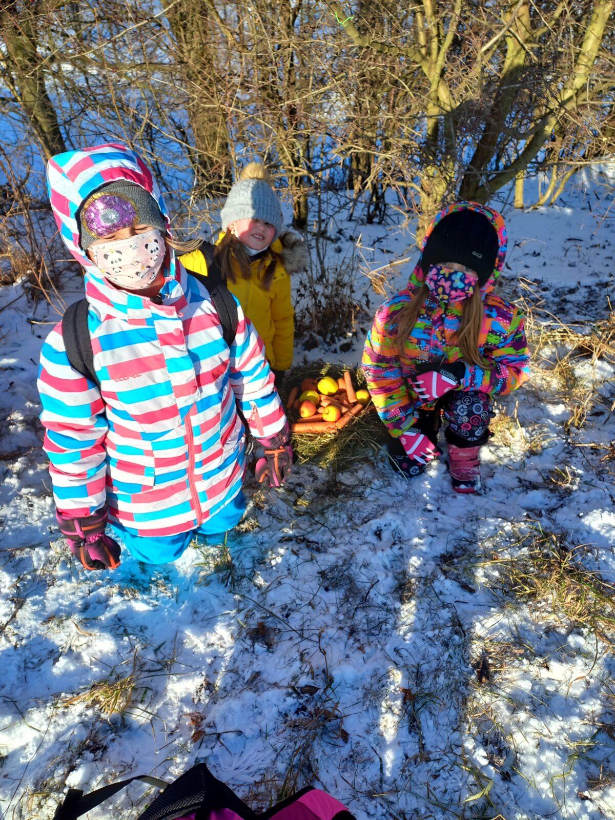 Opožděný "Vánoční les" v první třídě - 4