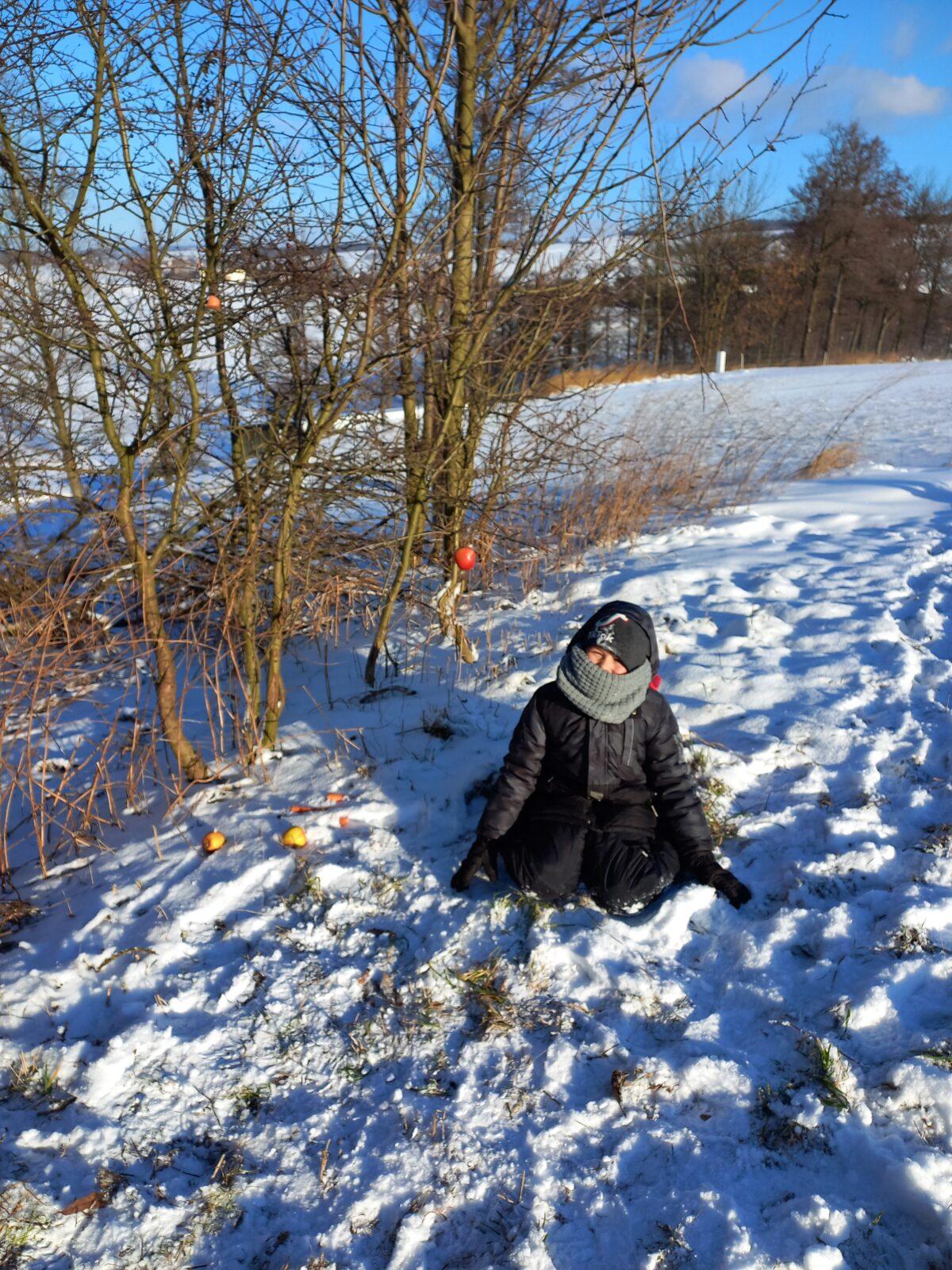 Opožděný "Vánoční les" v první třídě - 7