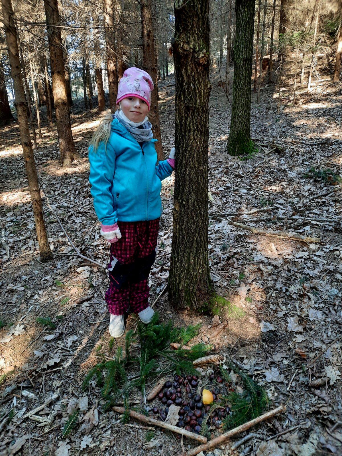 11. 3. Přírodovědná vycházka do lesa, 2. třída - 5