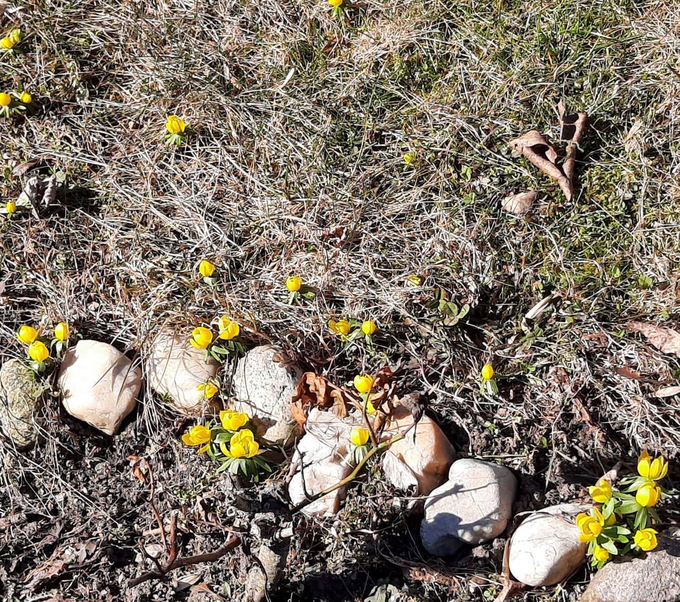 11. 3. Přírodovědná vycházka do lesa, 2. třída - 13