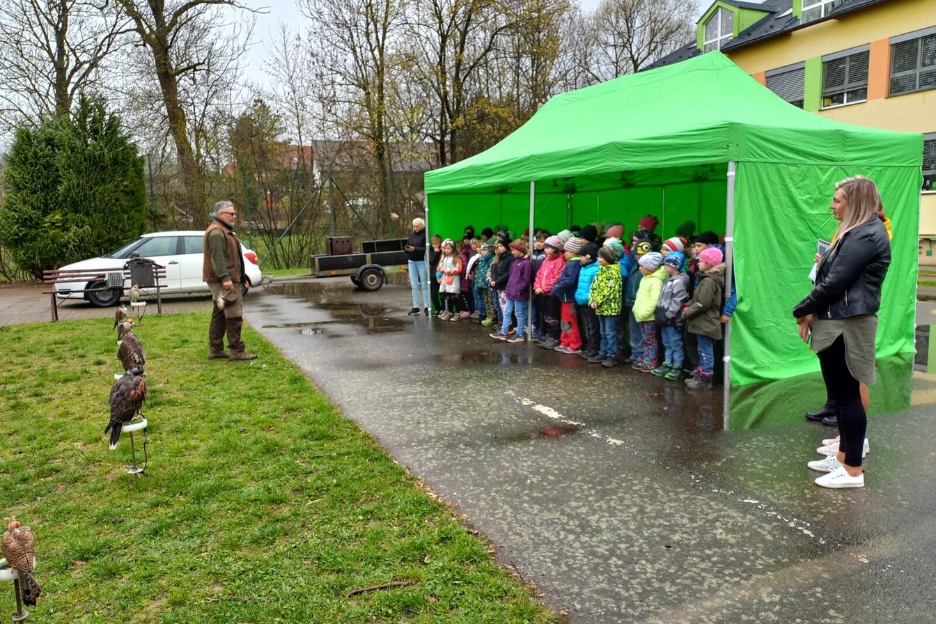 Ukázka dravců na 1. stupni