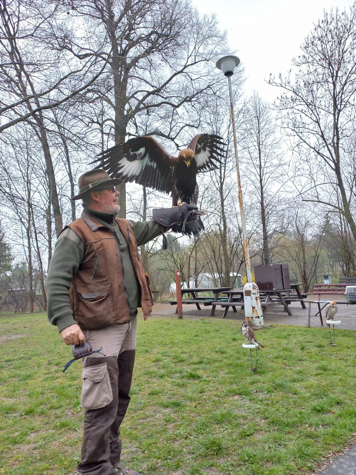 Ukázka dravců na 1. stupni - 8