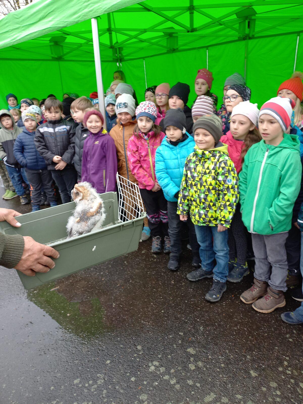 Ukázka dravců na 1. stupni - 10