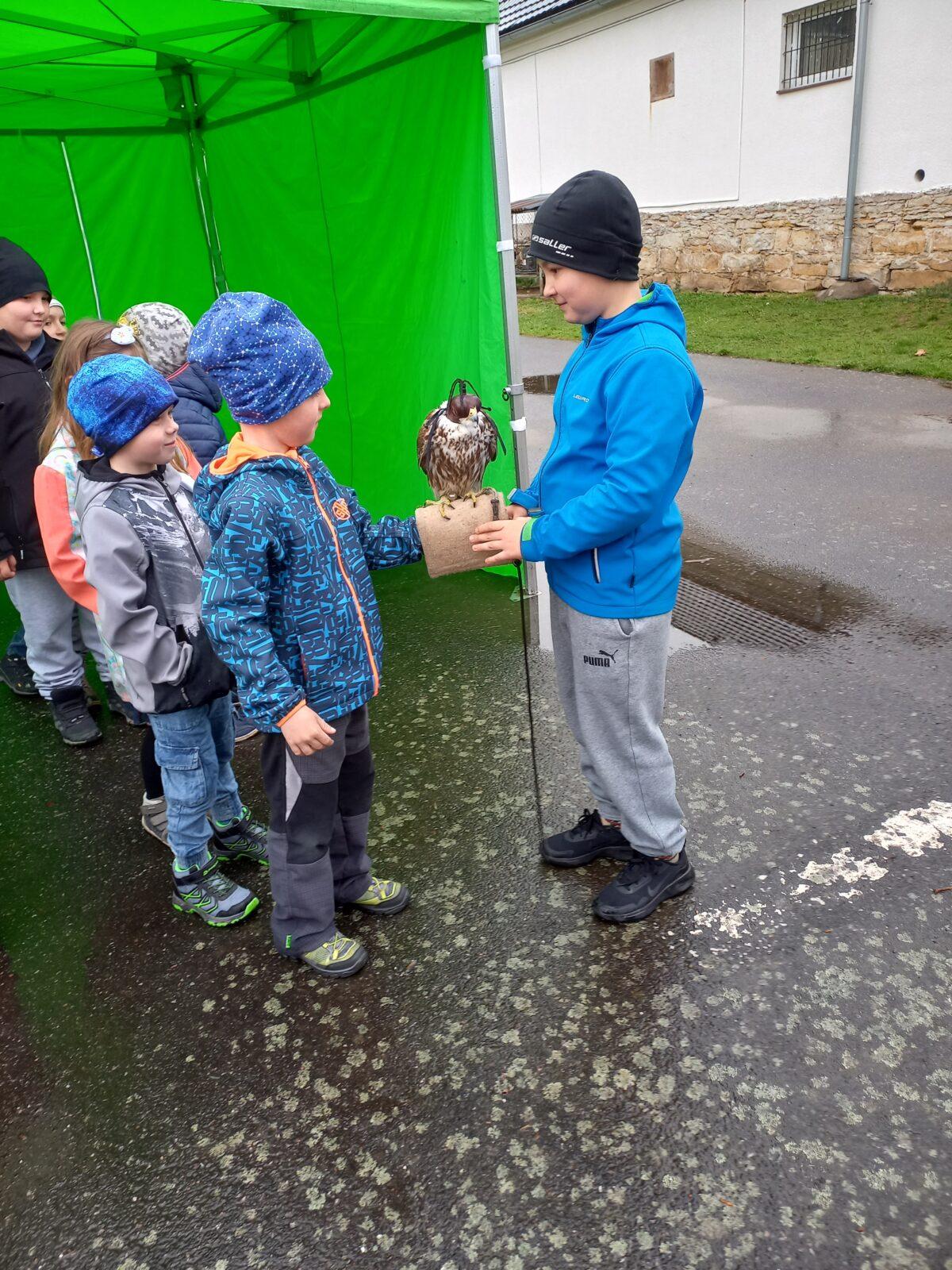 Ukázka dravců na 1. stupni - 17