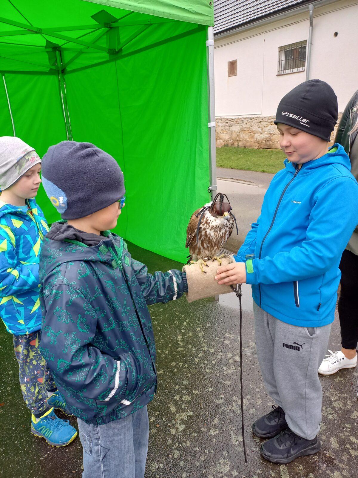 Ukázka dravců na 1. stupni - 20