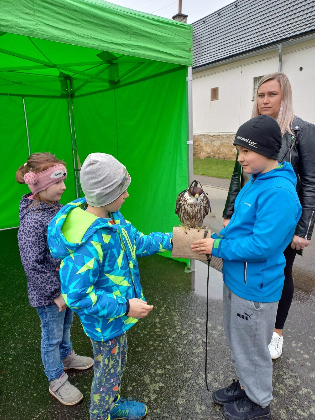 Ukázka dravců na 1. stupni - 21