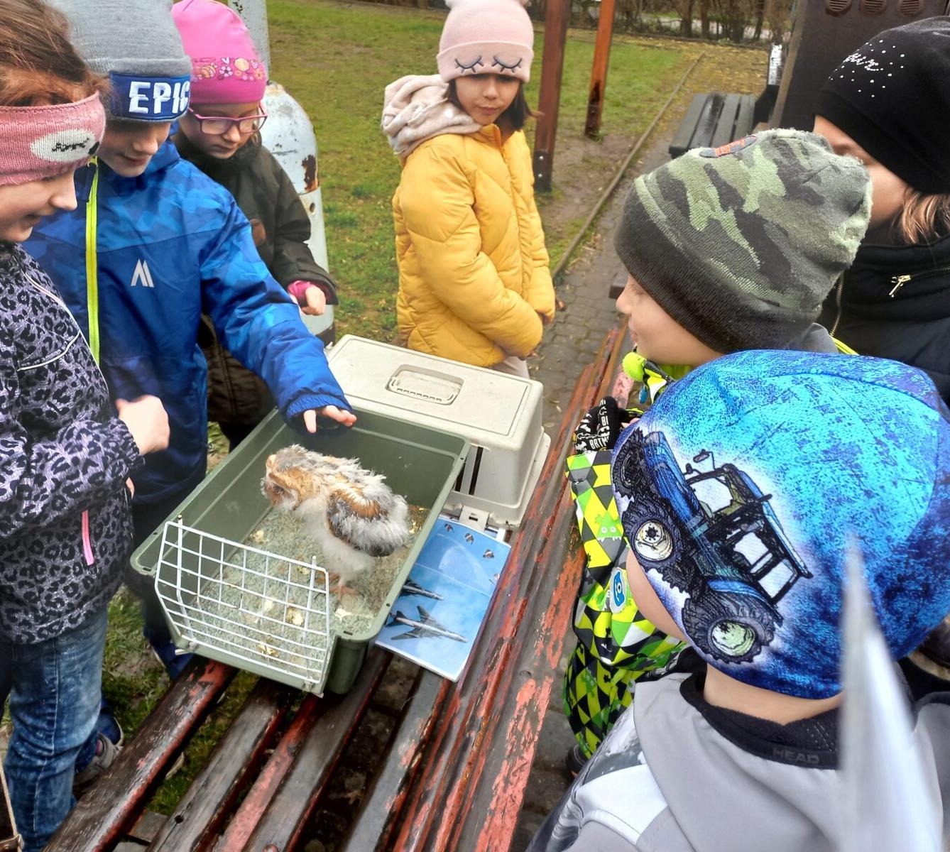 Ukázka dravců na 1. stupni - 23