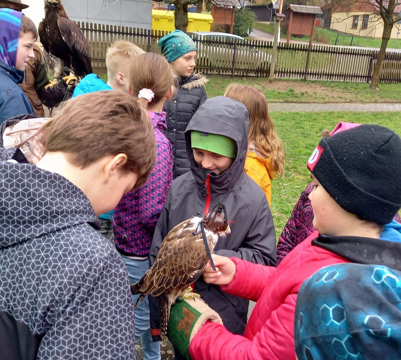 Ukázka dravců na 1. stupni - 26