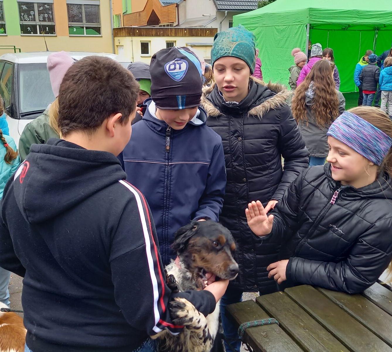 Ukázka dravců na 1. stupni - 27