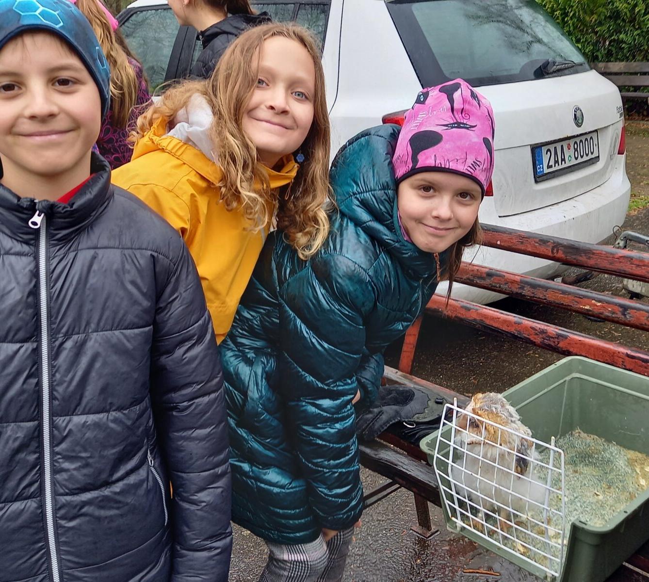 Ukázka dravců na 1. stupni - 28