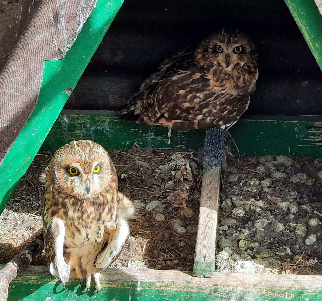 30. 5. Království sov a papoušků, 2. třída - 3