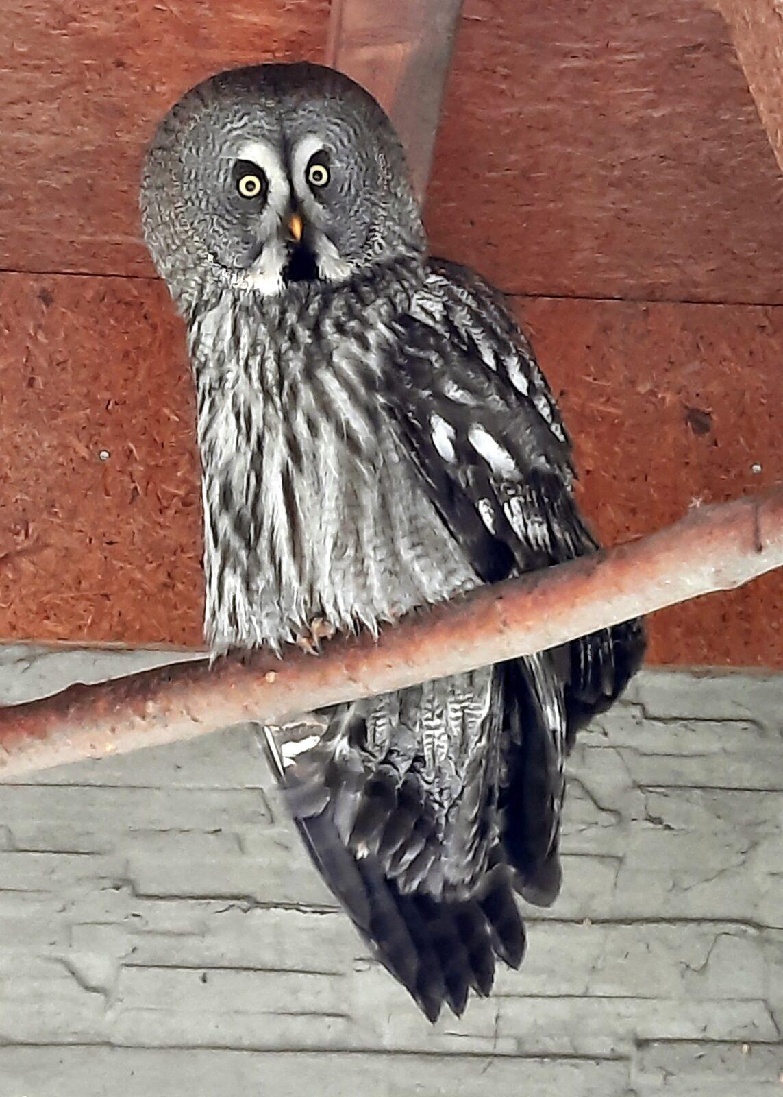 30. 5. Království sov a papoušků, 2. třída - 10