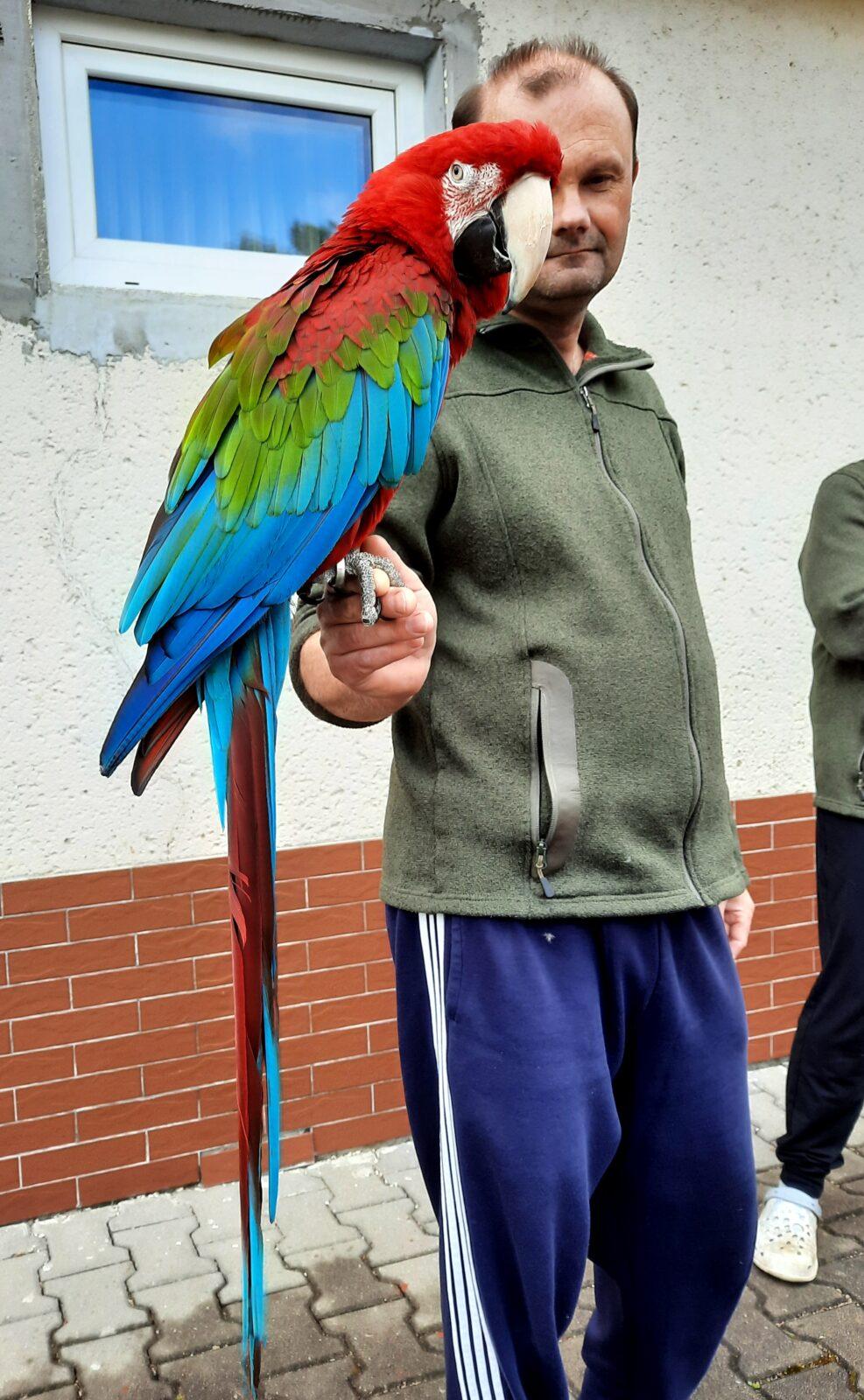 30. 5. Království sov a papoušků, 2. třída - 20