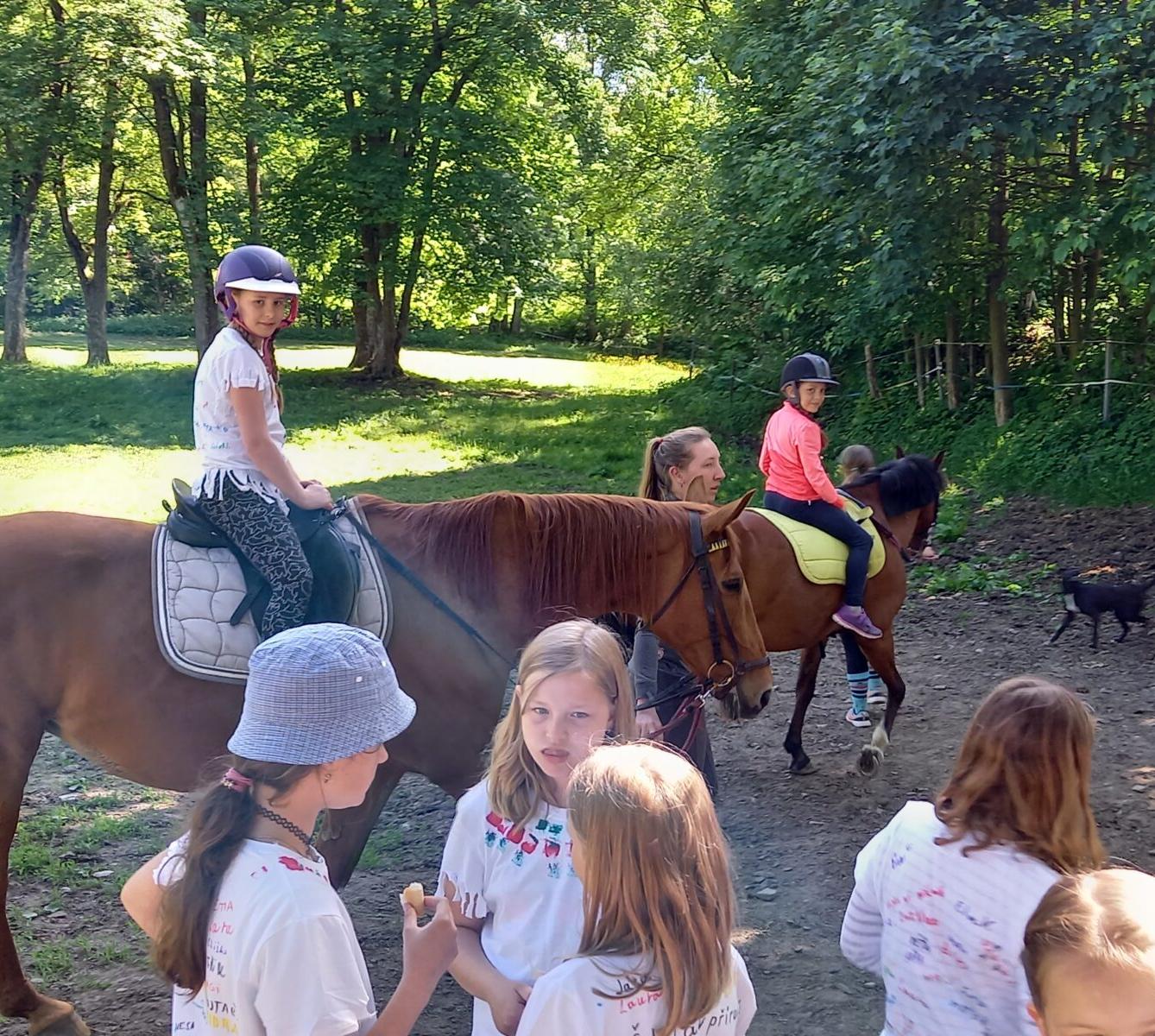 Škola v přírodě - den čtvrtý - 16