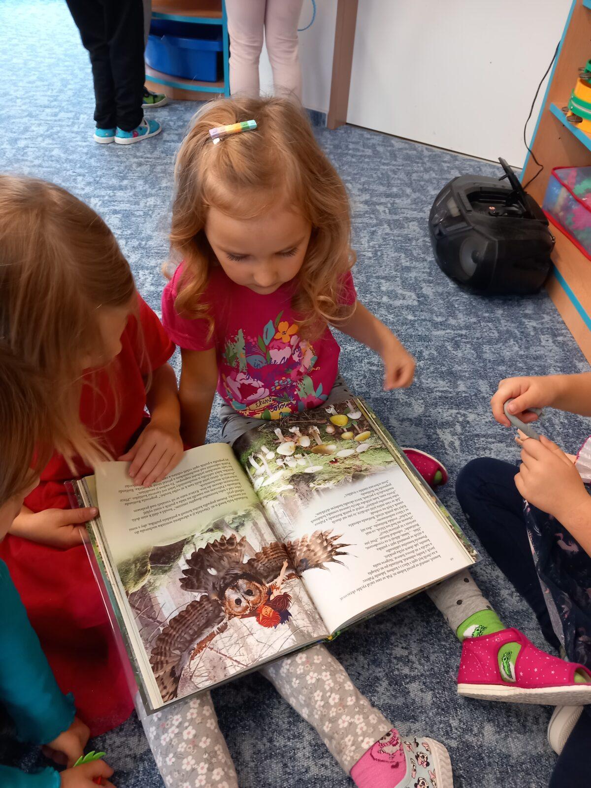 Podzimní kamínek u Námořníků - 11