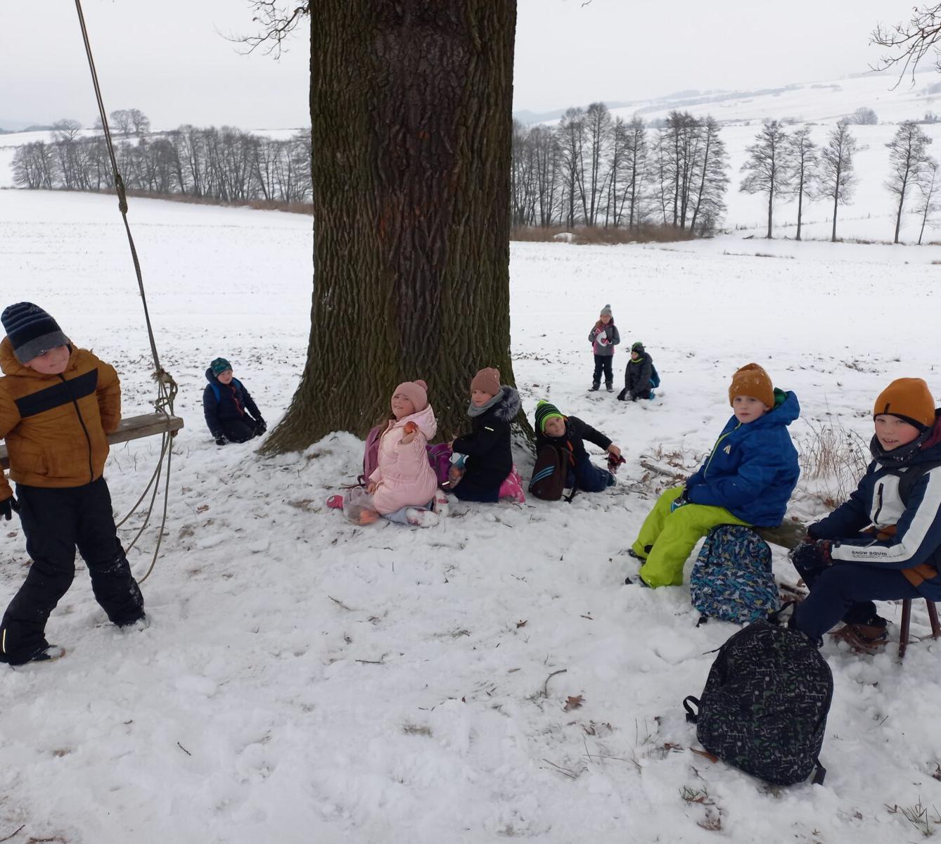 Vánoční les na 1. stupni - 5