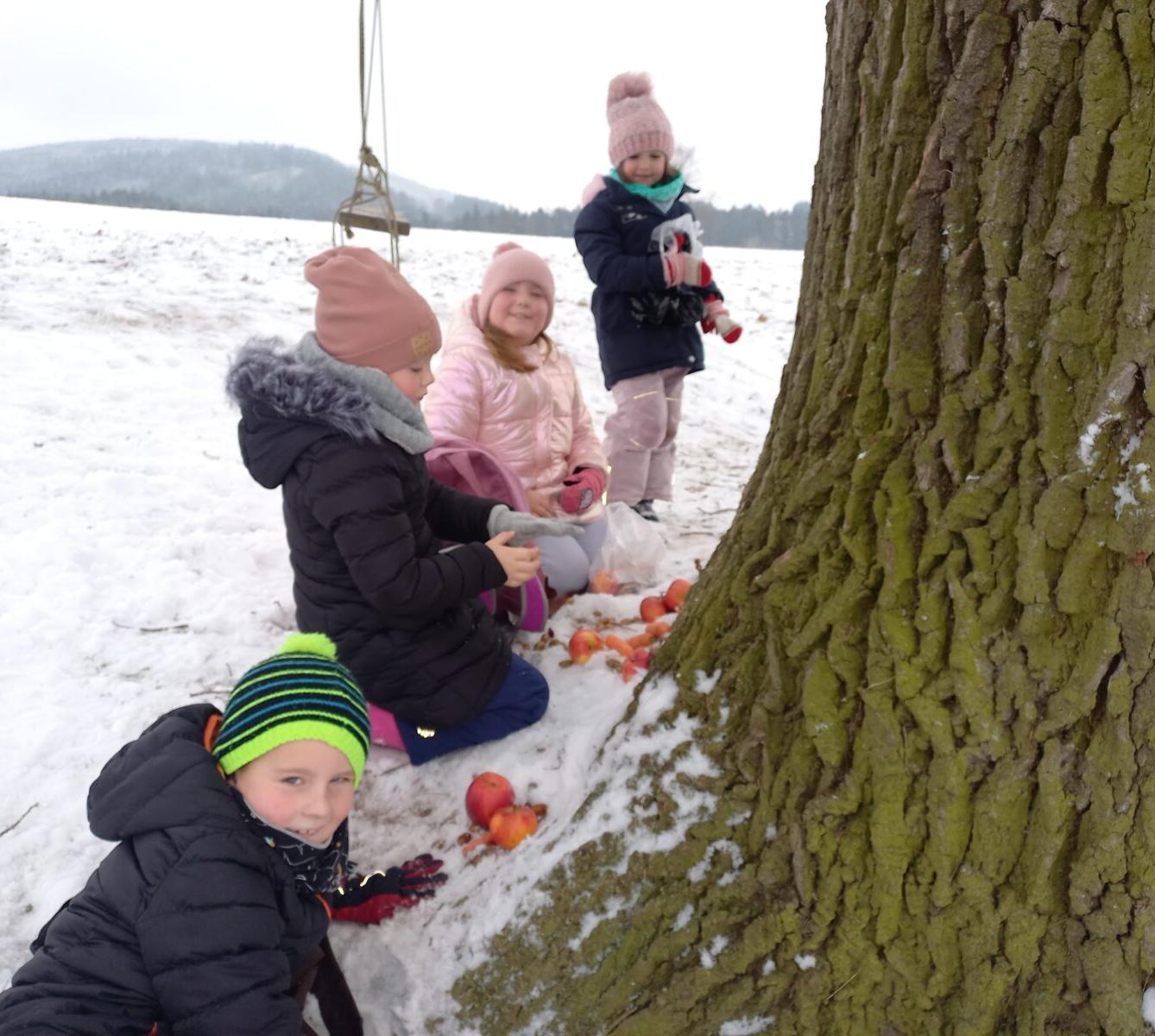 Vánoční les na 1. stupni - 8