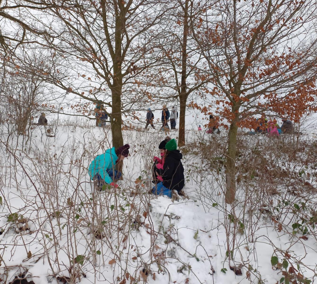 Vánoční les na 1. stupni - 9