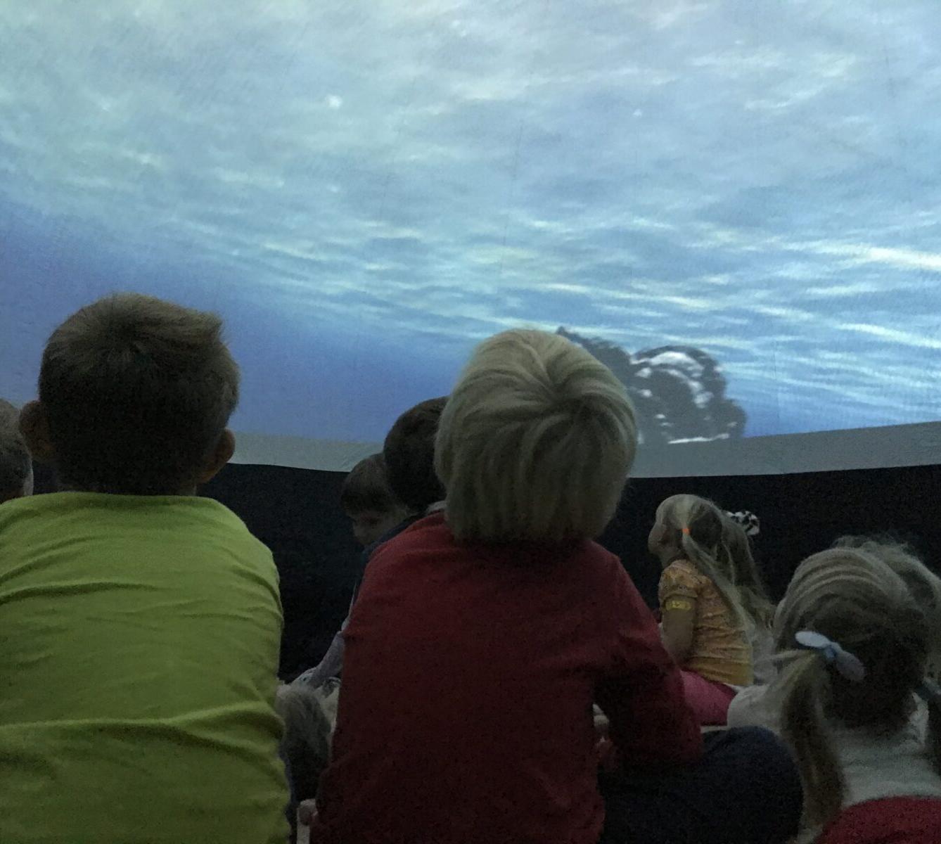 projektový den v MŠ - "Podmořský svět" I. - 15