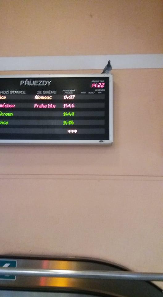 TLAPKY v Českė Třebové - 2