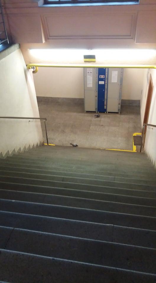 TLAPKY v Českė Třebové - 49