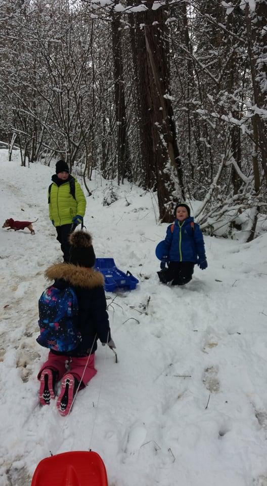 TLAPKY NA ANDRLOVĚ CHLUMU - 24