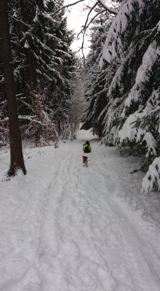 TLAPKY NA ANDRLOVĚ CHLUMU - 28