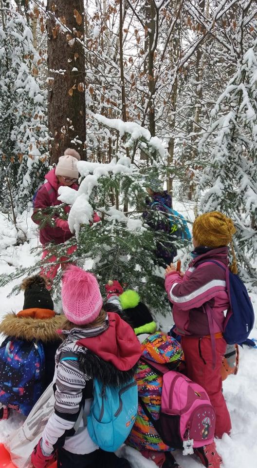TLAPKY NA ANDRLOVĚ CHLUMU - 38