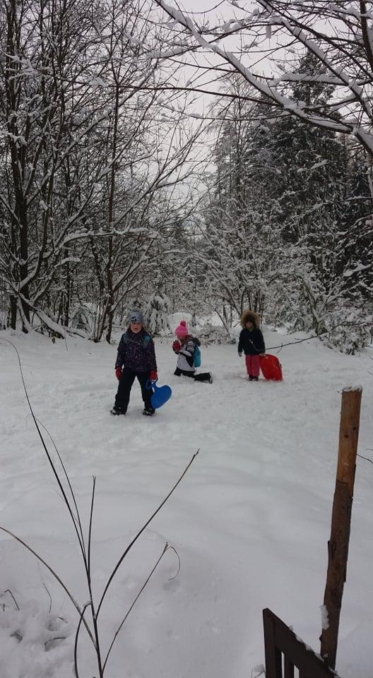 TLAPKY NA ANDRLOVĚ CHLUMU - 40
