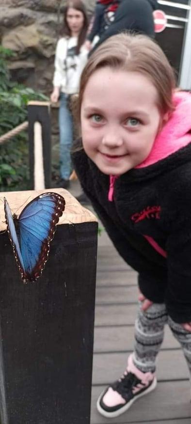 TLAPKY - 2 - motýlci a HAMELYS - 5