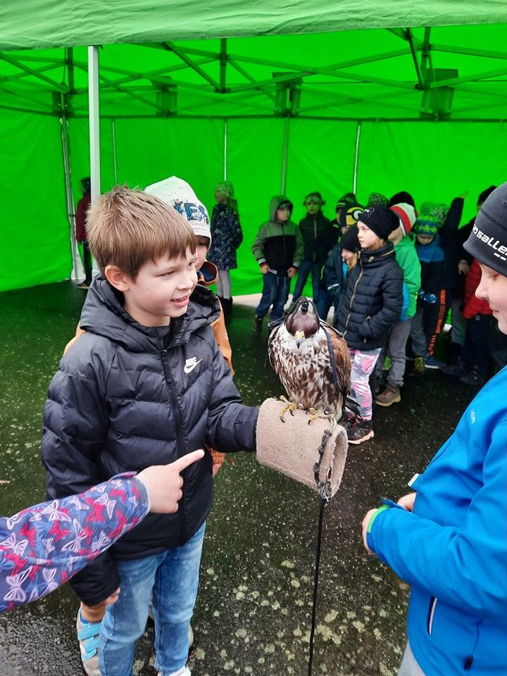 Ukázka dravců na 1. stupni - 29