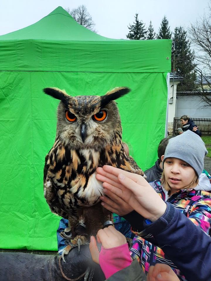 Ukázka dravců na 1. stupni - 31